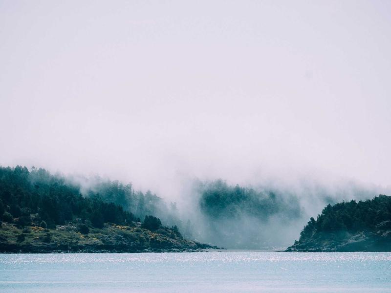 sudoku even odd sudoku screenshot 3